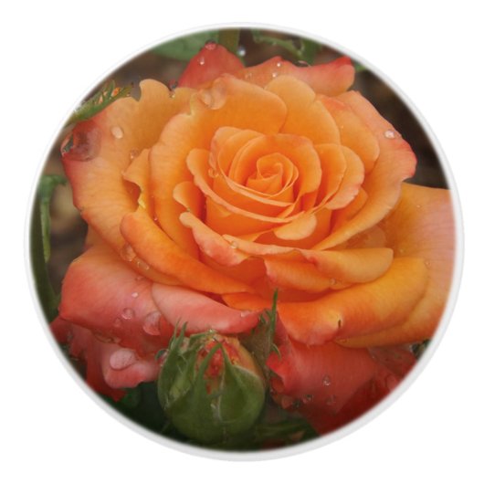 Orange Rose Keramik Pull Keramikknauf (Vorderseite)