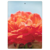 Orange Rose Klemmbrett (Rückseite)