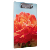 Orange Rose Klemmbrett (Rechts)