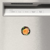 Orange Rose Magnet (In Situ (Geschirrspüler))