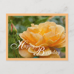 Orange Rose Malerisch Postkarte