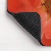 Orange Rose Mousepad (Ecke)