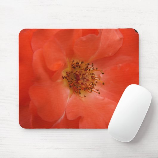 Orange Rose Mousepad (Mit Mouse)