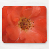 Orange Rose Mousepad (Vorne)