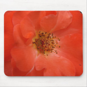 Orange Rose Mousepad