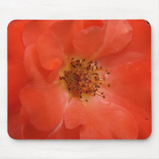 Orange Rose Mousepad (Vorne)