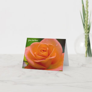 Orange Rose Nach dem Regen Grußkarte Karte