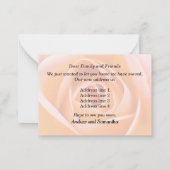 Orange Rose New Address Ankündigung (Rückseite)