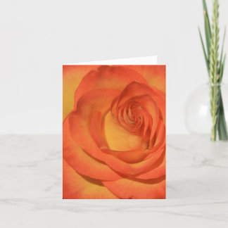 Orange Rose Notecard Karte