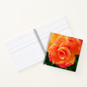 Orange Rose Notizblock (Innenseite)