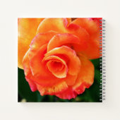 Orange Rose Notizblock (Rückseite)