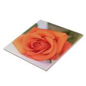 Orange Rose Petals Blume Floral Fliese (Seite)