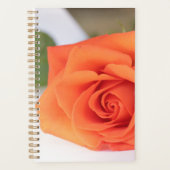 Orange Rose Petals Blume Floral Planer (Vorderseite)