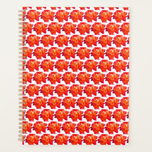 Orange Rose Planer (Vorderseite)