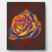 Orange Rose Plaque Fotoplatte (Vorderseite)