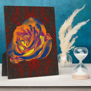 Orange Rose Plaque Fotoplatte