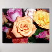 Orange Rose Poster (Vorne)