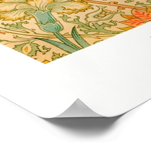 Orange Rose Poster (Ecke)