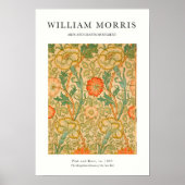 Orange Rose Poster (Vorne)