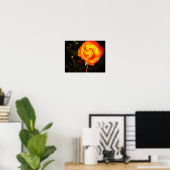 Orange Rose Poster (Heimbüro)