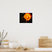 Orange Rose Poster (Küche)
