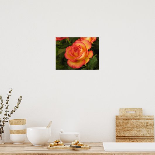 Orange Rose Poster (Küche)