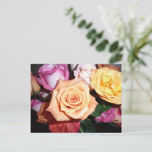 Orange Rose Postkarte (Stehend Vorderseite)