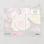 Orange Rose Postkarte (Rückseite)