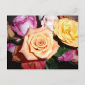 Orange Rose Postkarte (Vorderseite)