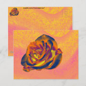 Orange Rose Postkarte (Vorne/Hinten)
