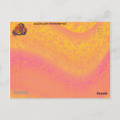 Orange Rose Postkarte (Rückseite)