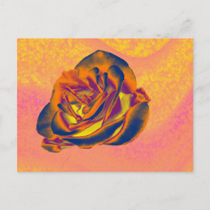 Orange Rose Postkarte