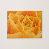 Orange Rose Puzzle (Horizontal)