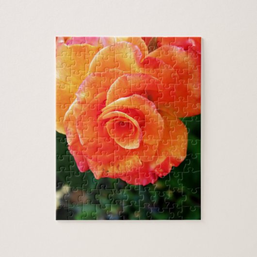 Orange Rose Puzzle (Vertikal)