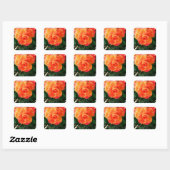 Orange Rose Quadratischer Aufkleber (Blatt)