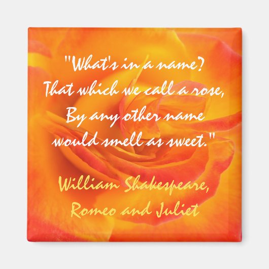 Orange Rose Quote Magnet (Vorne)