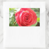 Orange Rose Rechteckiger Aufkleber (Tasche)