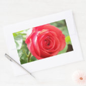 Orange Rose Rechteckiger Aufkleber (Umschlag)