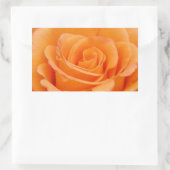 Orange Rose Rechteckiger Aufkleber (Tasche)