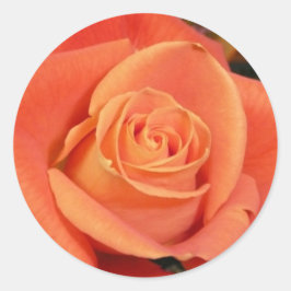 Orange Rose Runder Aufkleber