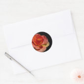 Orange Rose Runder Aufkleber (Umschlag)