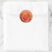Orange Rose Runder Aufkleber (Tasche)