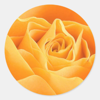 ORANGE ROSE RUNDER AUFKLEBER