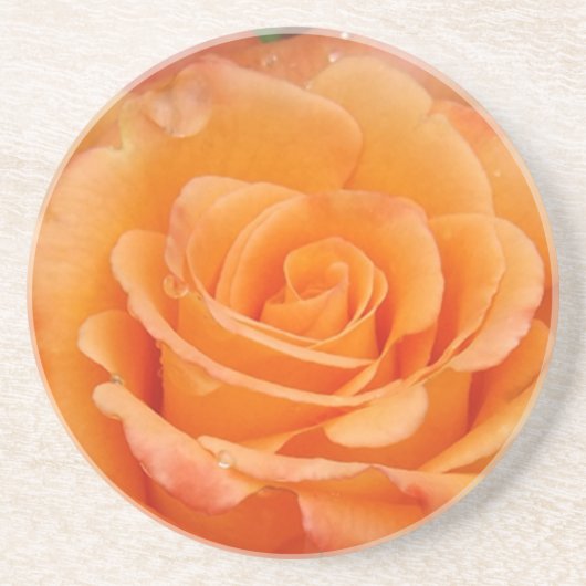 Orange Rose Sandstein Untersetzer (Vorne)