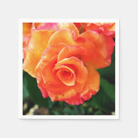 Orange Rose Serviette (Vorderseite)