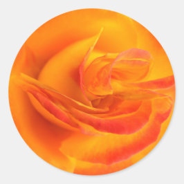 Orange Rose Stickers