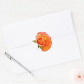 Orange Rose Stikers Runder Aufkleber (Umschlag)