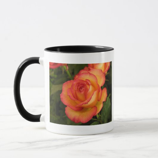 Orange Rose Tasse (Links)