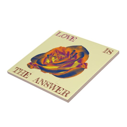 Orange Rose Tile Fliese (Seite)