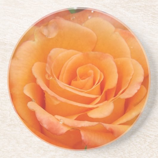 Orange Rose Untersetzer (Vorne)